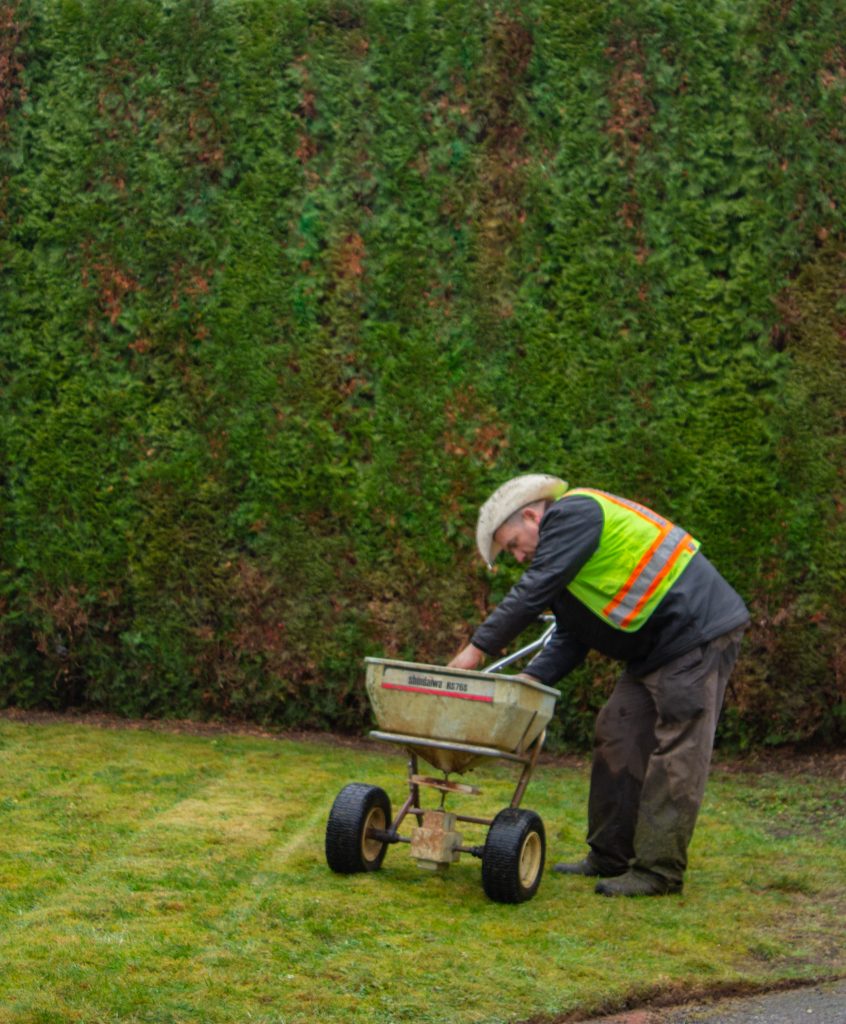 Landscaping